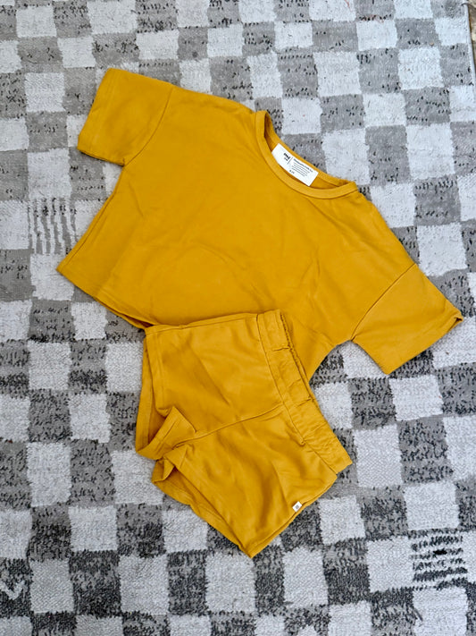 2 piece set- honey mustard
